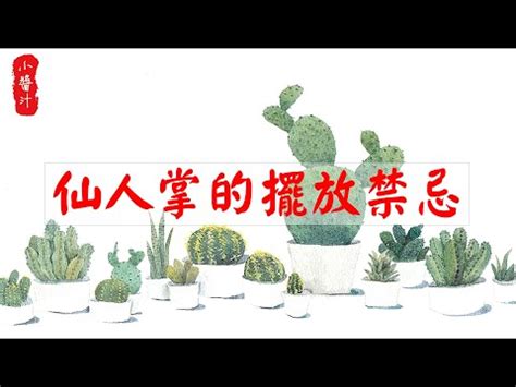 仙人掌風水|仙人掌的風水擺放禁忌